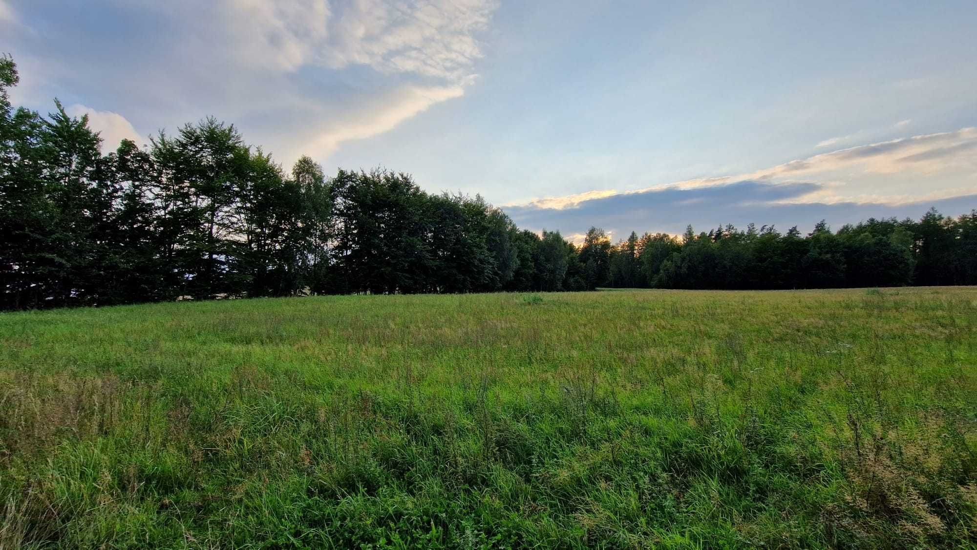 Dzialka Pieski - budowlana - 1000 m2 - Bezpośrednio od Właściciela