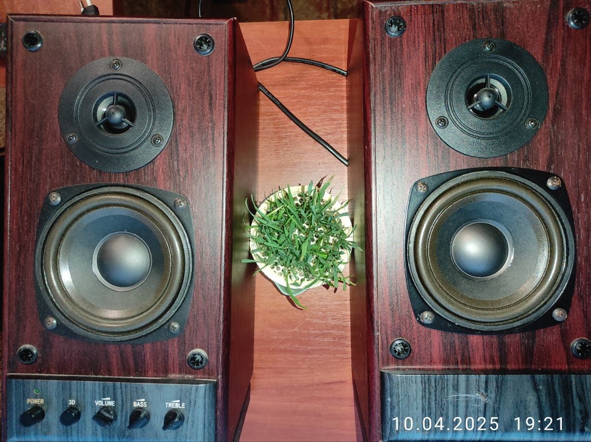 Активні колонки NewTone NT-3000