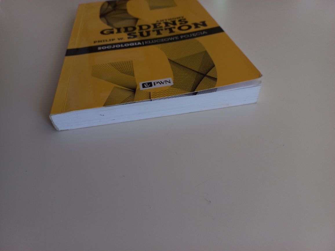 Socjologia. Kluczowe pojęcia - Giddens, Sutton