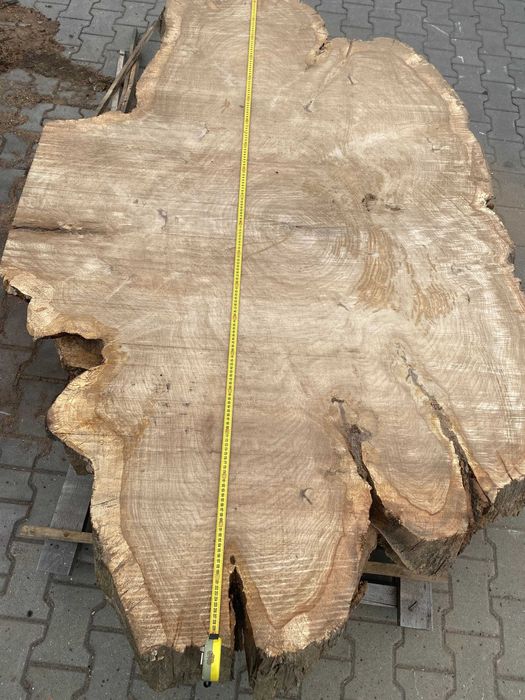 Monolity dębowe - krążki