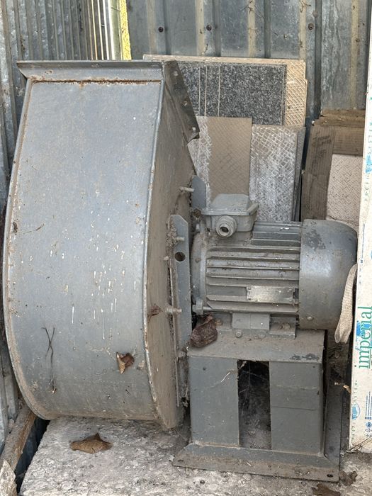 Равлик, витяжка, улітка