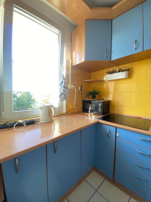 Pokoj jednoosobowy dla kobiety,okolice sky tower od zaraz