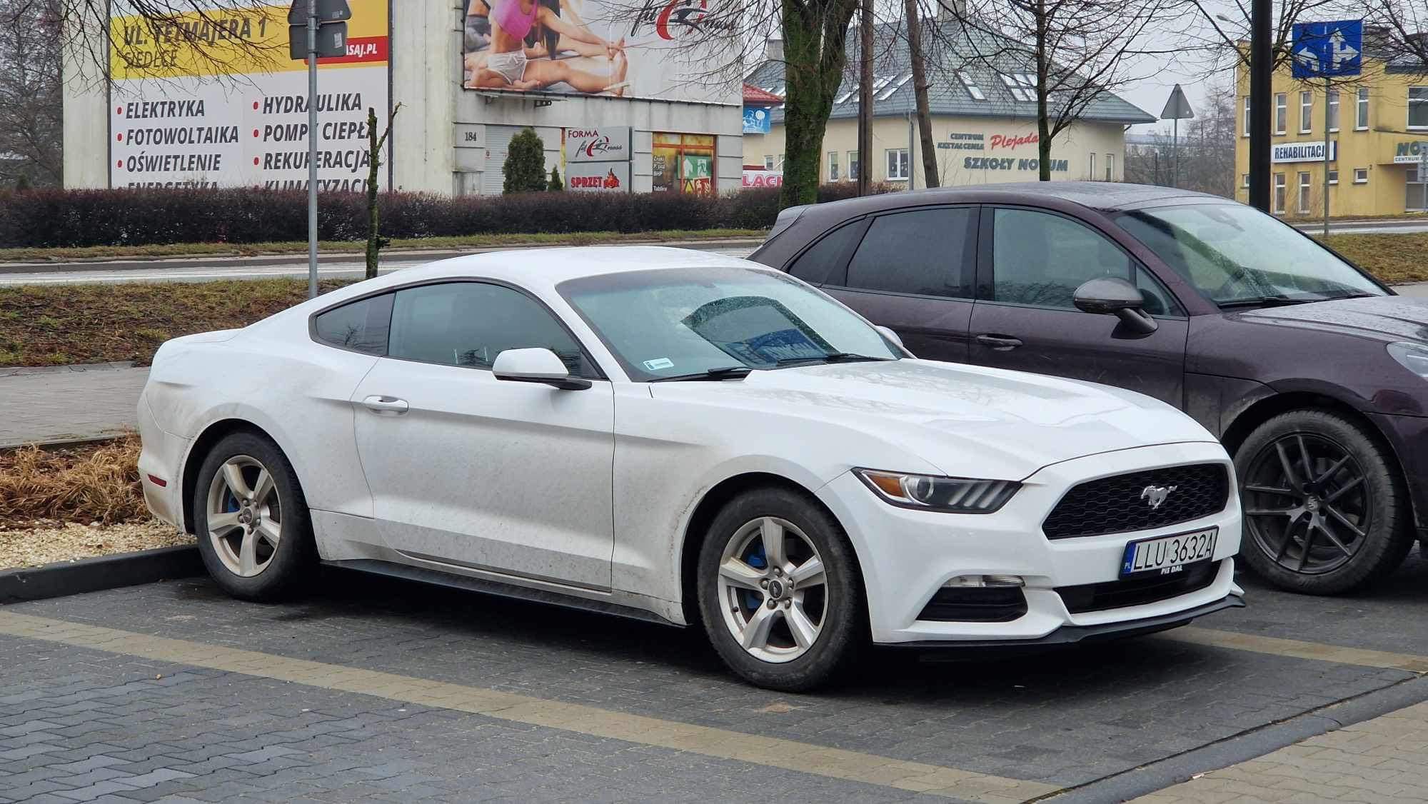 Mustang 3.7 doinwestowany pewny