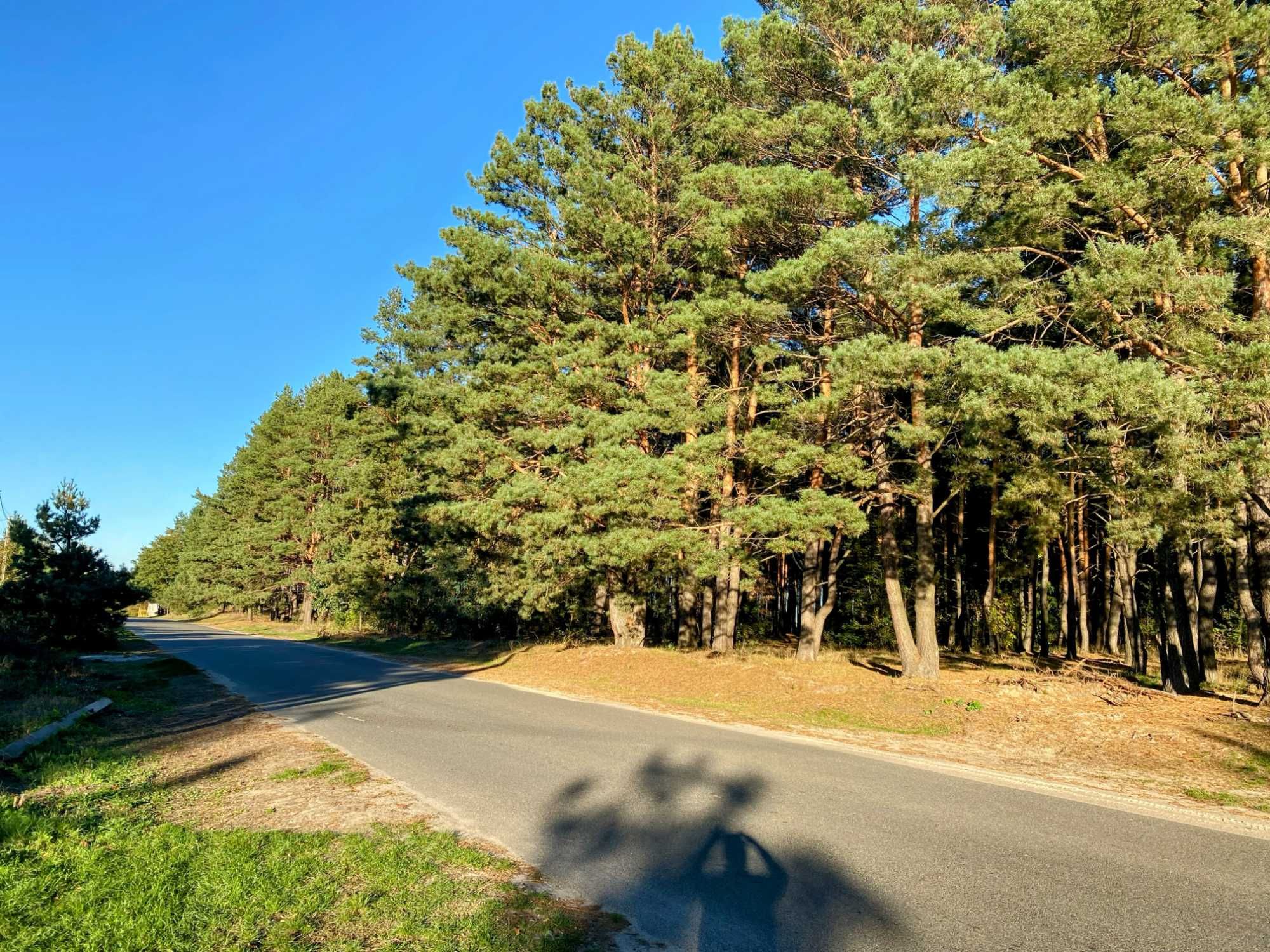 Продаж ділянки 9 сот в с.Бобриця. зі світлом 17квт.