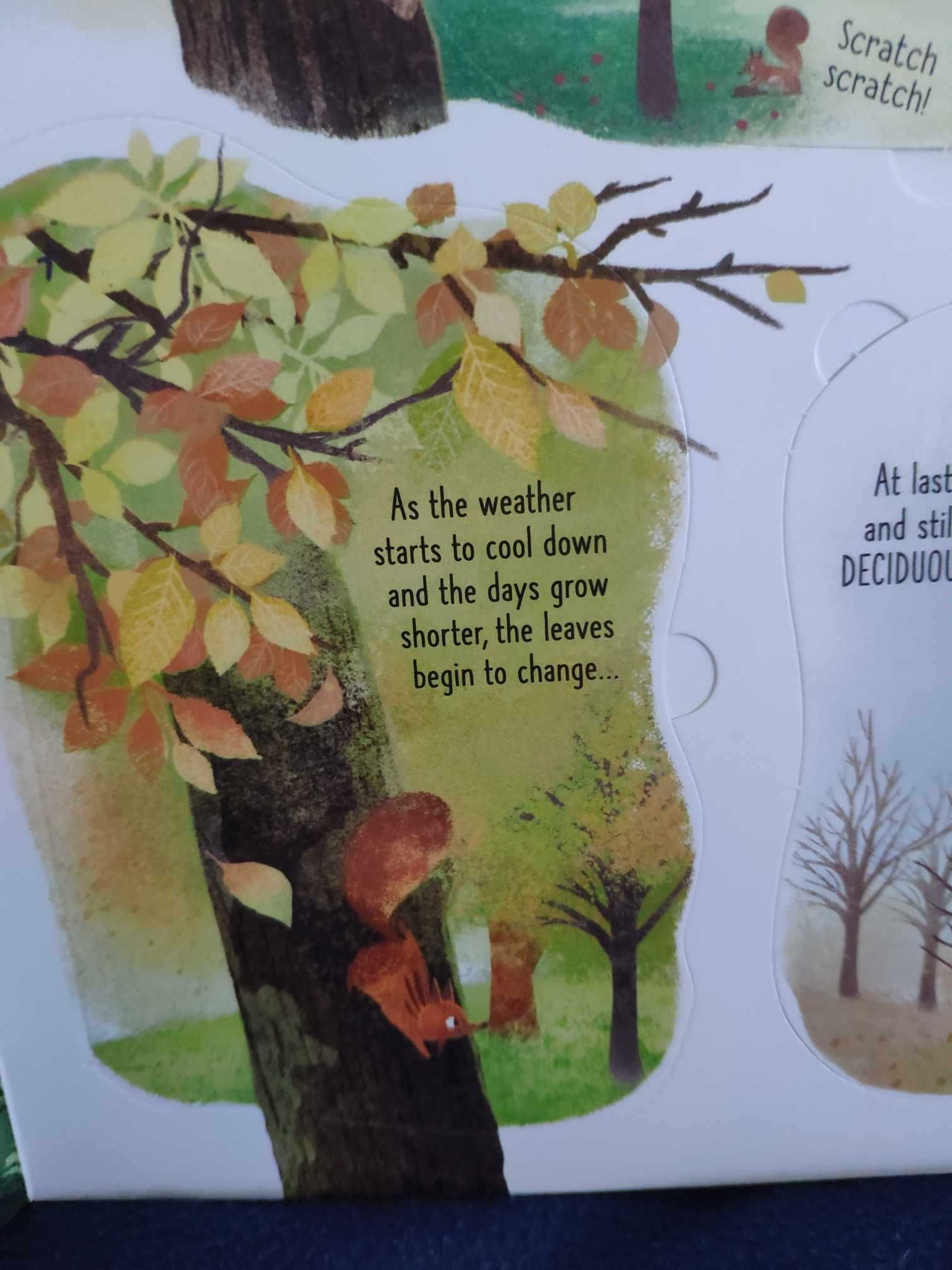 Usborne Trees książka z okienkami