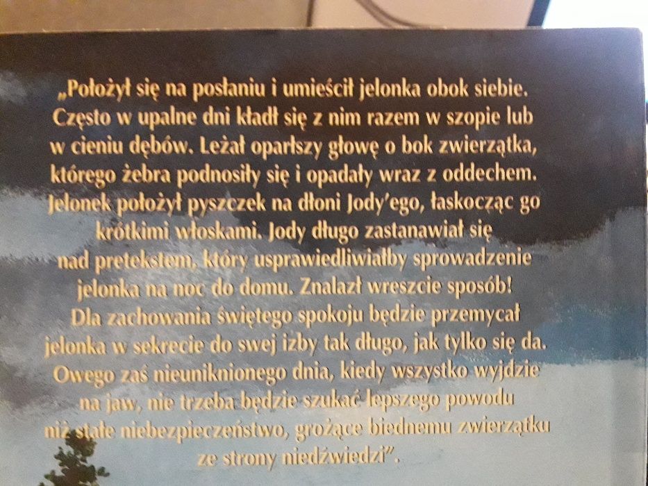 Książka dla dzieci Roczniak Marjorie Kinnan Rawlings