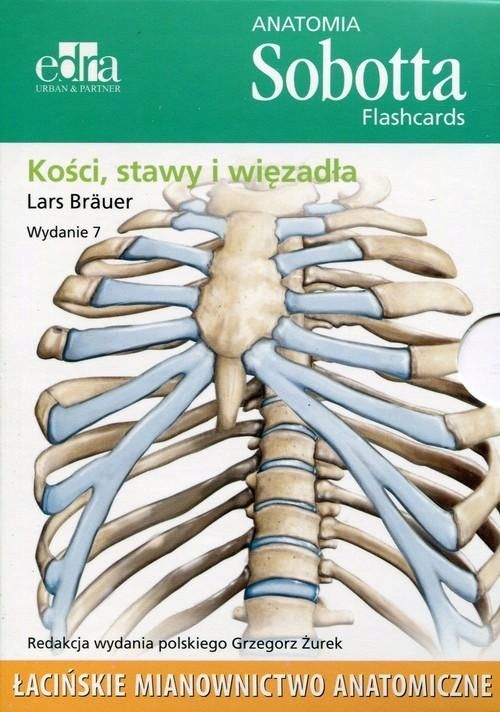 Anatomia Sobotta Flashcards Kości Stawy I Więzadła