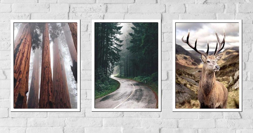30x40 obrazy w ramie plakaty ramka JELEŃ LAS NOWOCZESNY NATURA BOHO
