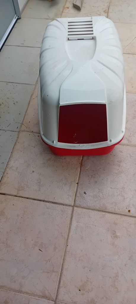 Caixas areia dos gatos