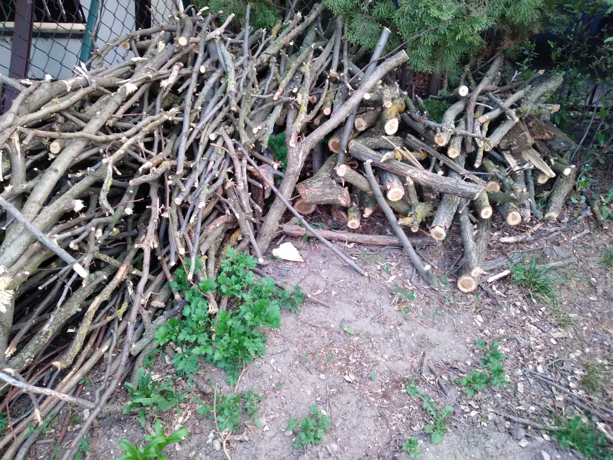 Drewno akacjowe na opał oraz pieńki