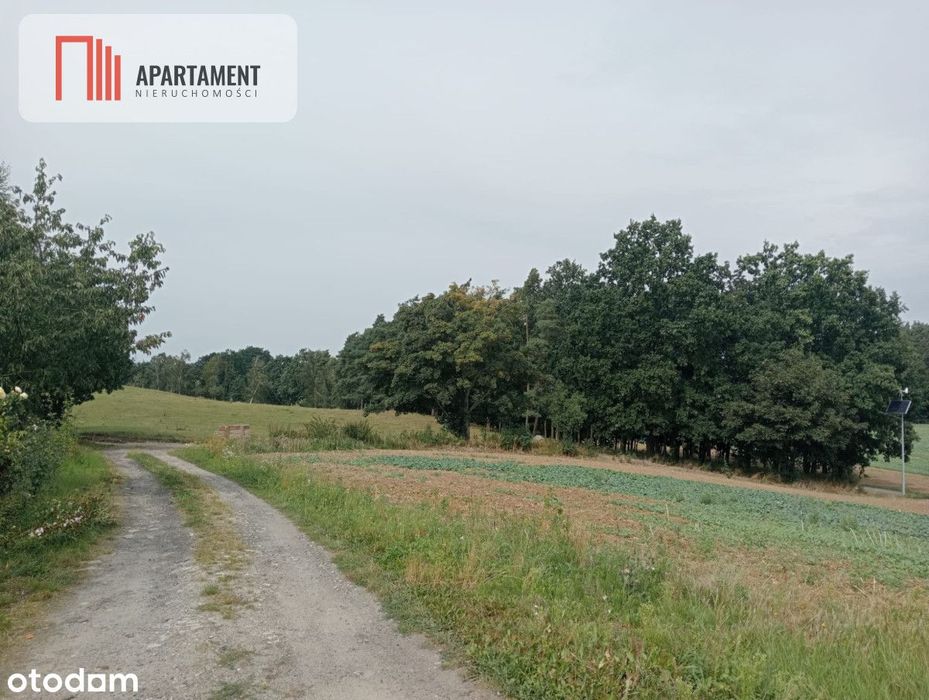 Działka na Obrzeżach Tczewa w Śliwinach