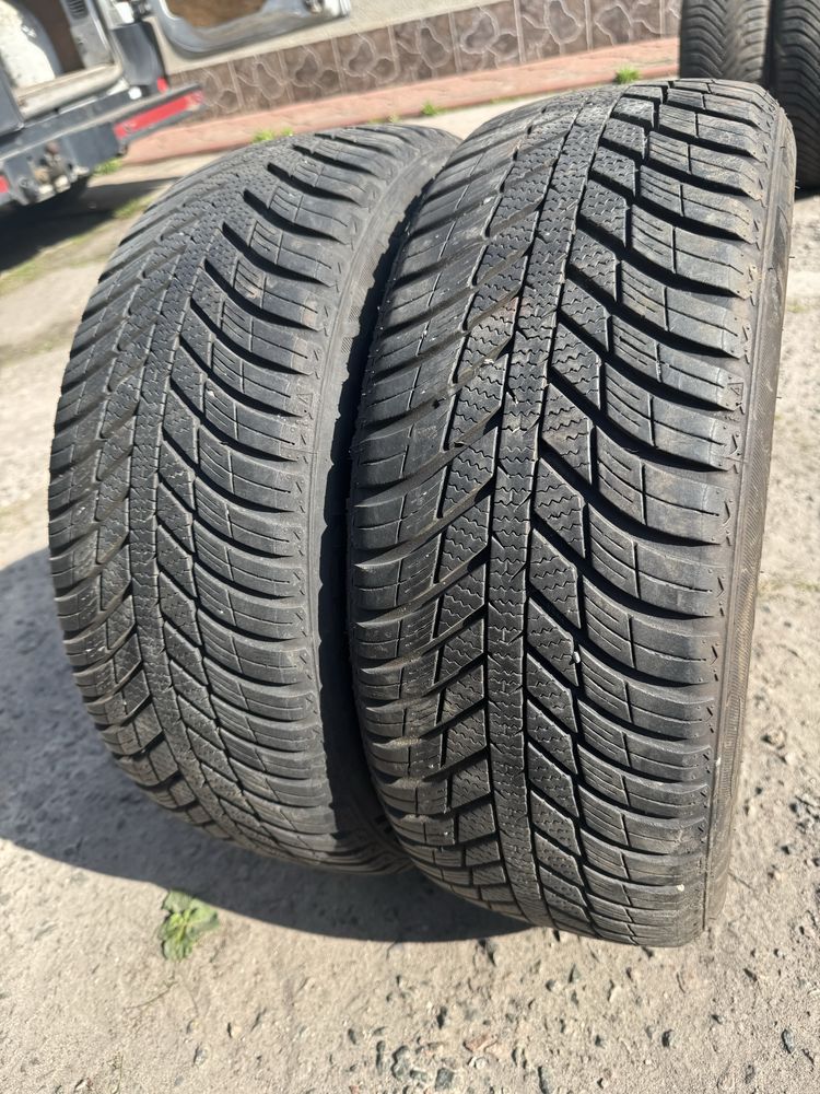 Резина r15 195/55 nexen