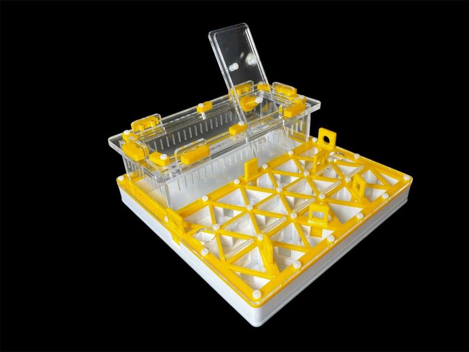 Профессиональная муравьиная ферма формикарий для муравьев в Украине