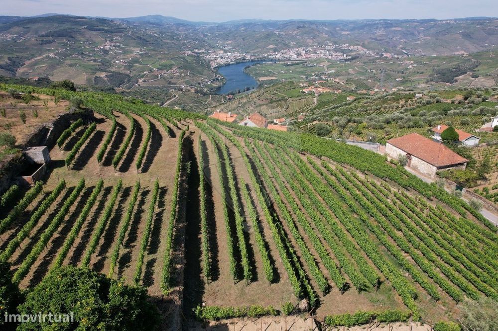 Terreno  para venda