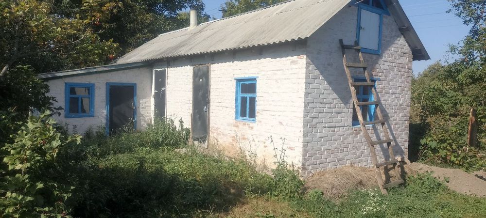 Продам будинок Лісовичі