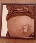 Quadro " Gravidez"