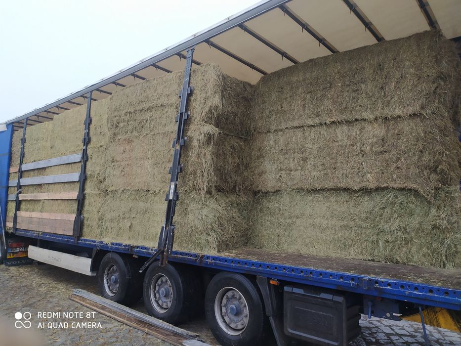 Sprzedam siano w kostkach