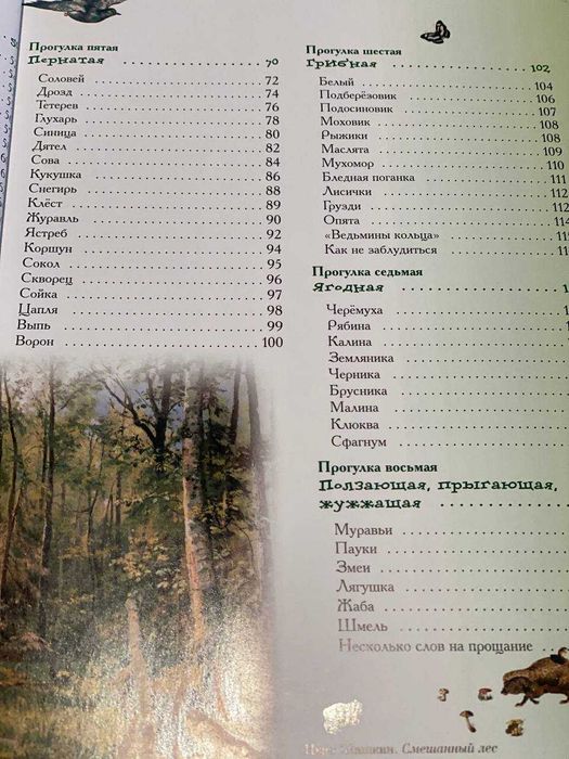 Прогулки по лесу Книга травник для детей