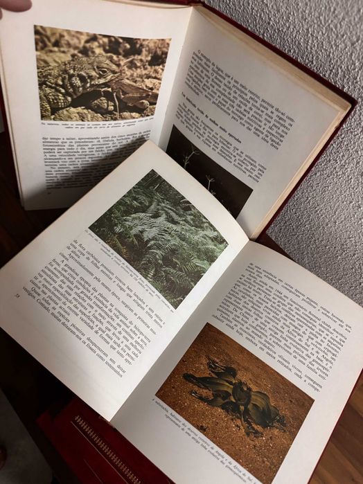 Coleção Este Planeta em que Vivemos - 8 livros