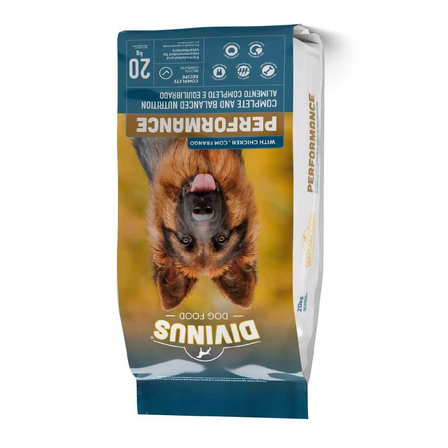 DIVINUS Performance 20kg dla dorosłych psów wszystkich ras
