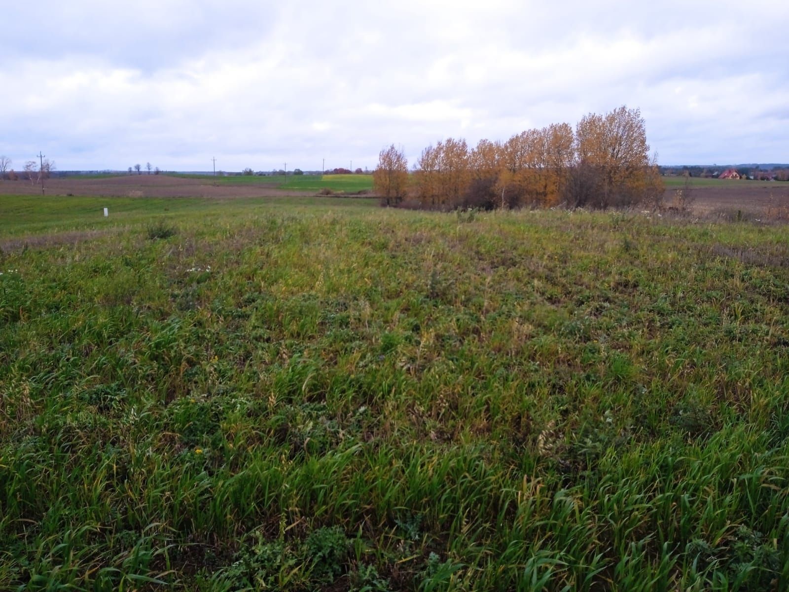 Działka budowlana 1600m2 Lubnia, gm. Brusy