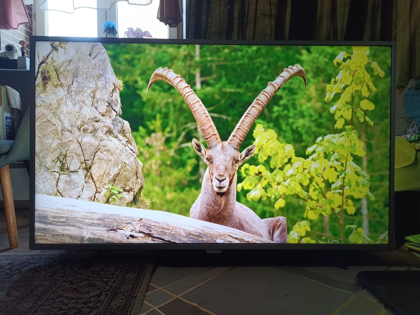 Tv Philips 55" 4K ANDROID DVB-T 2 hevc WiFi UHD HDR telewizor Smart