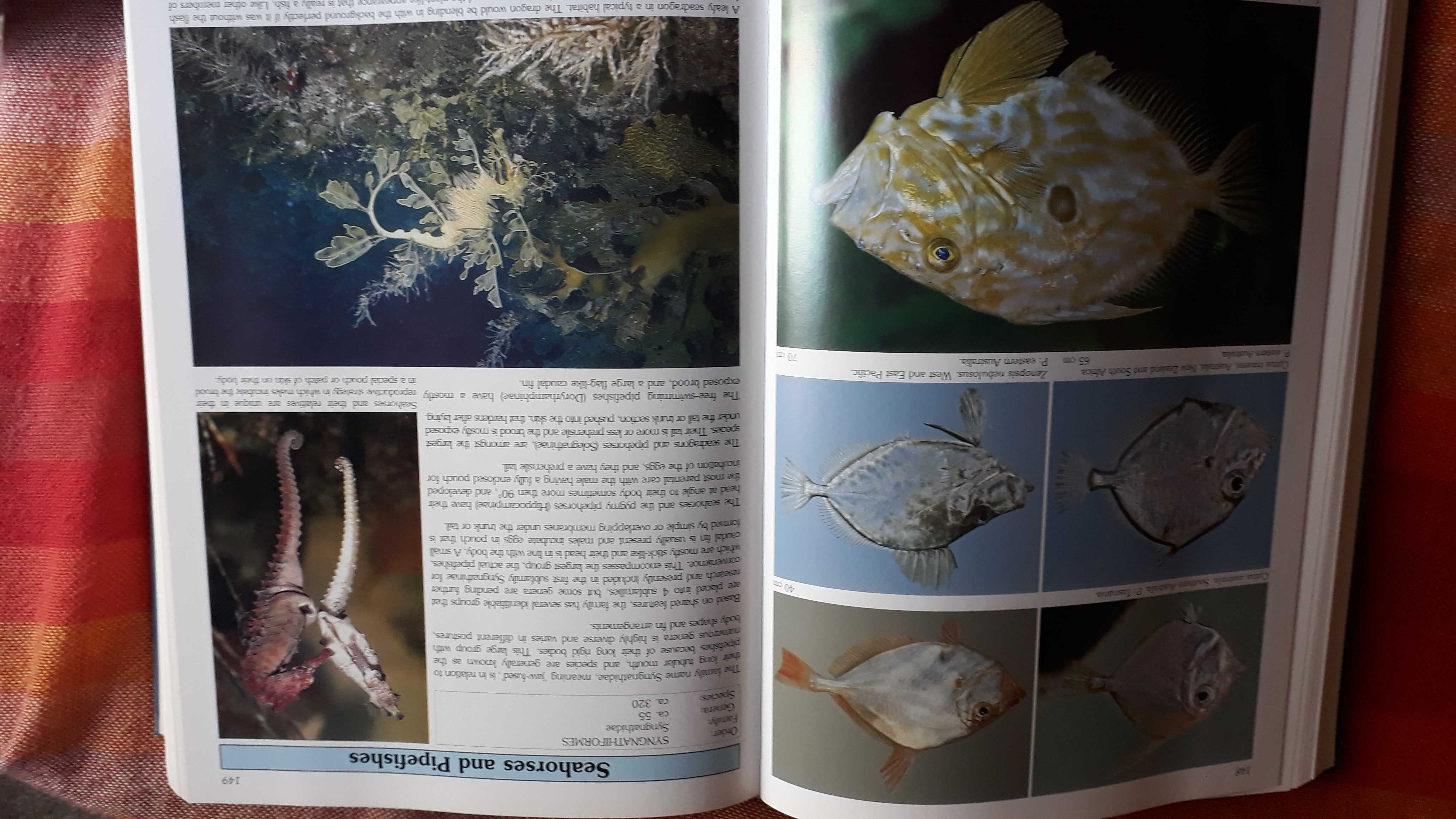 Atlas de peixes marinhos de todo o mundo