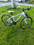 Rower firmy Giant