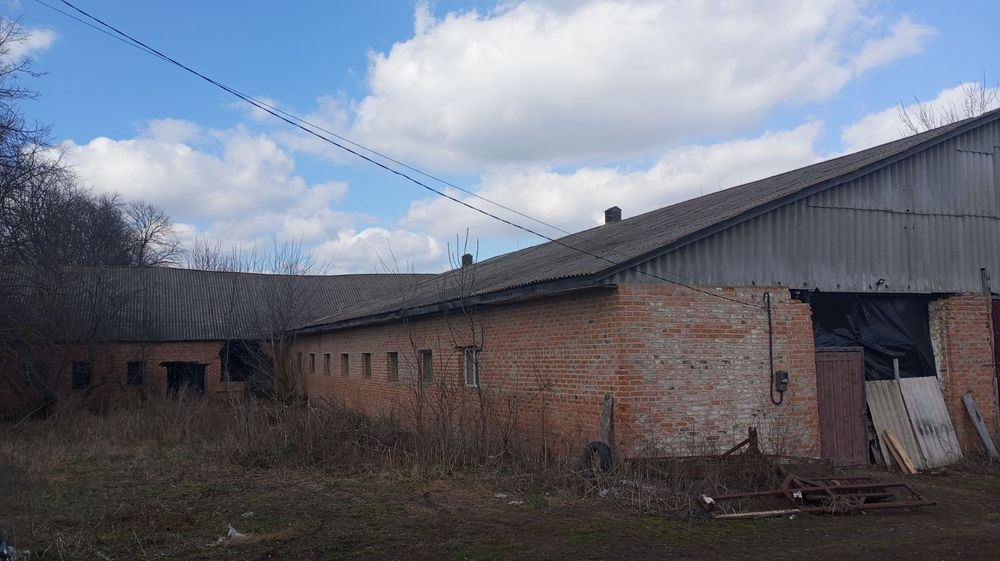 Склад ферма корівник свинарник курник курятник ангар продам