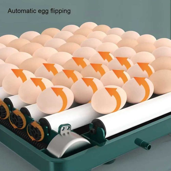 [NOVO] Incubadora / Chocadeira • 9 Ovos • Humidade Automática