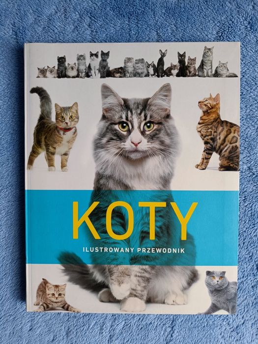 Nowy pięknie ilustrowany przewodnik Koty opieka, wybór, rasy