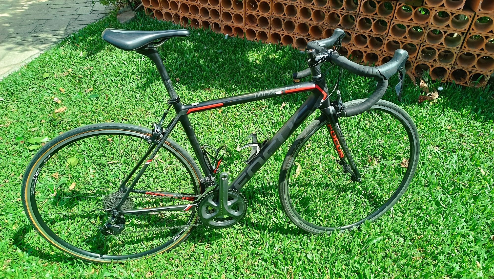 Focus Izalco max