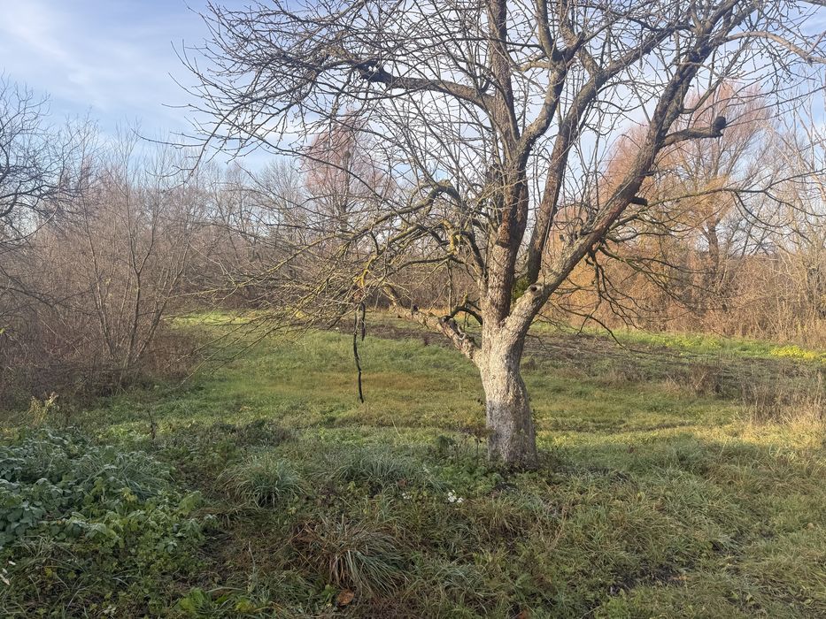 Житловий будинок с. Філіопіль