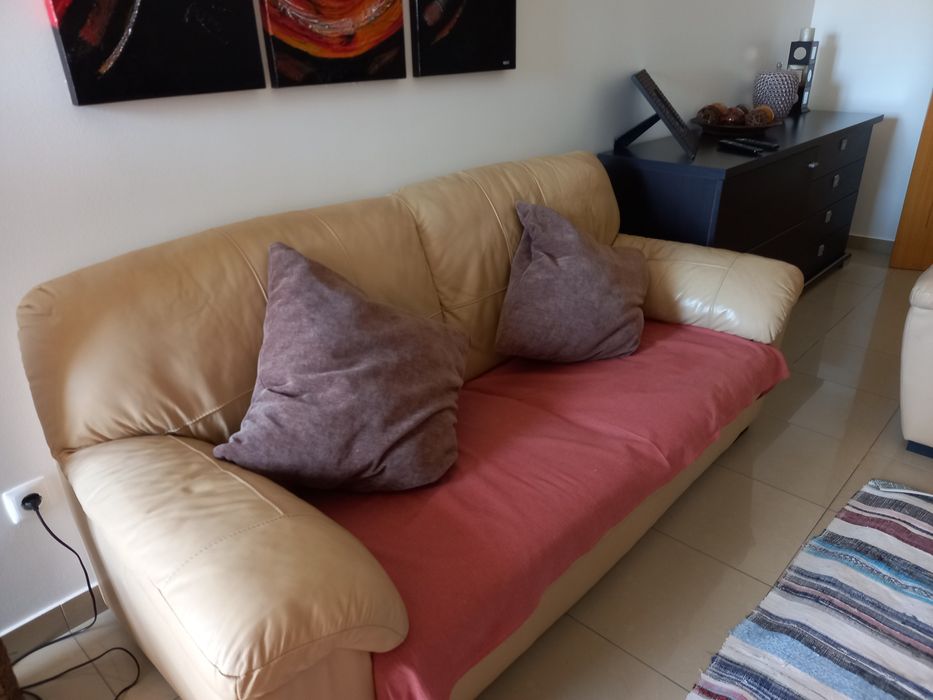 Sofás usados em pele