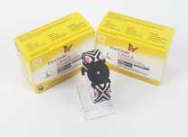 Opaska ochronna na sensor FreeStyle Libre 2 dla dzieci – regulowana