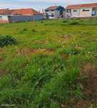 Terreno em Angeiras