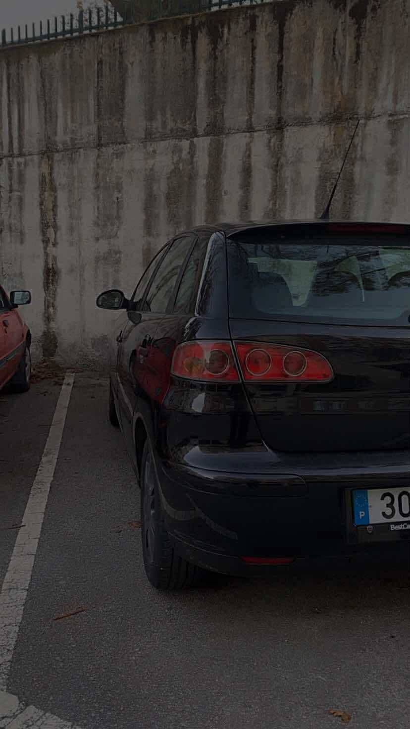 Seat ibiza 6L 1.2