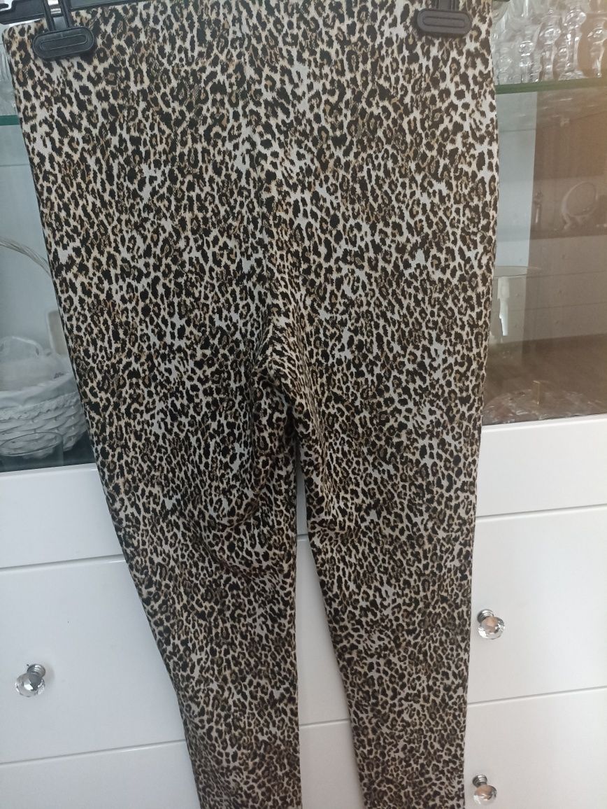 Leginsy panterka M