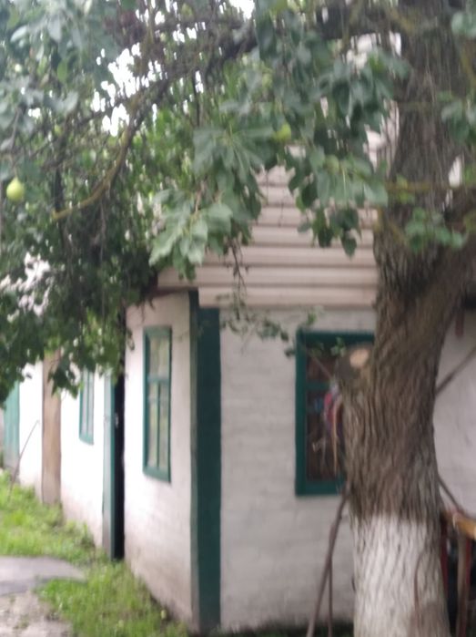 Продам будинок с.Осовець Чернігівська обл. за 75 км. від Києва!
