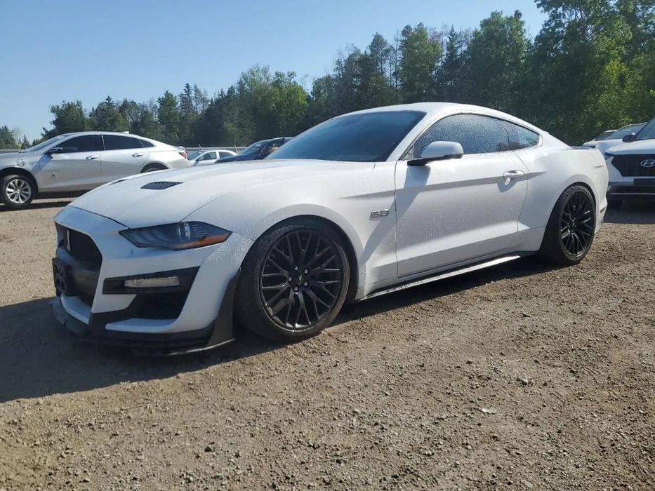 Ford Mustang Piękny muscle car w drodze do Polski