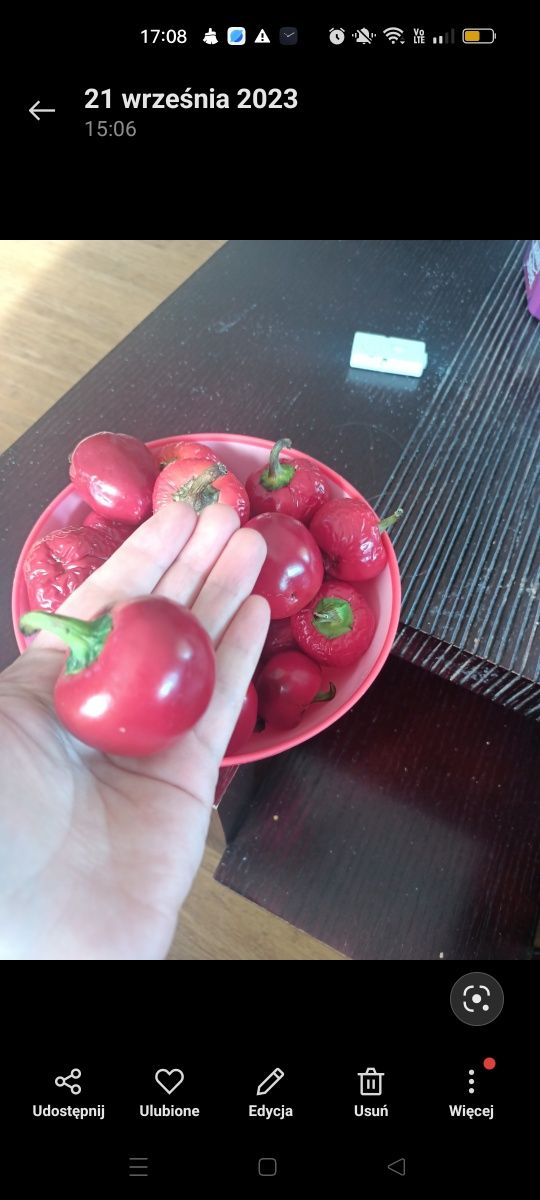 Papryka mini czereśniowa nasiona kolekcjonerskie