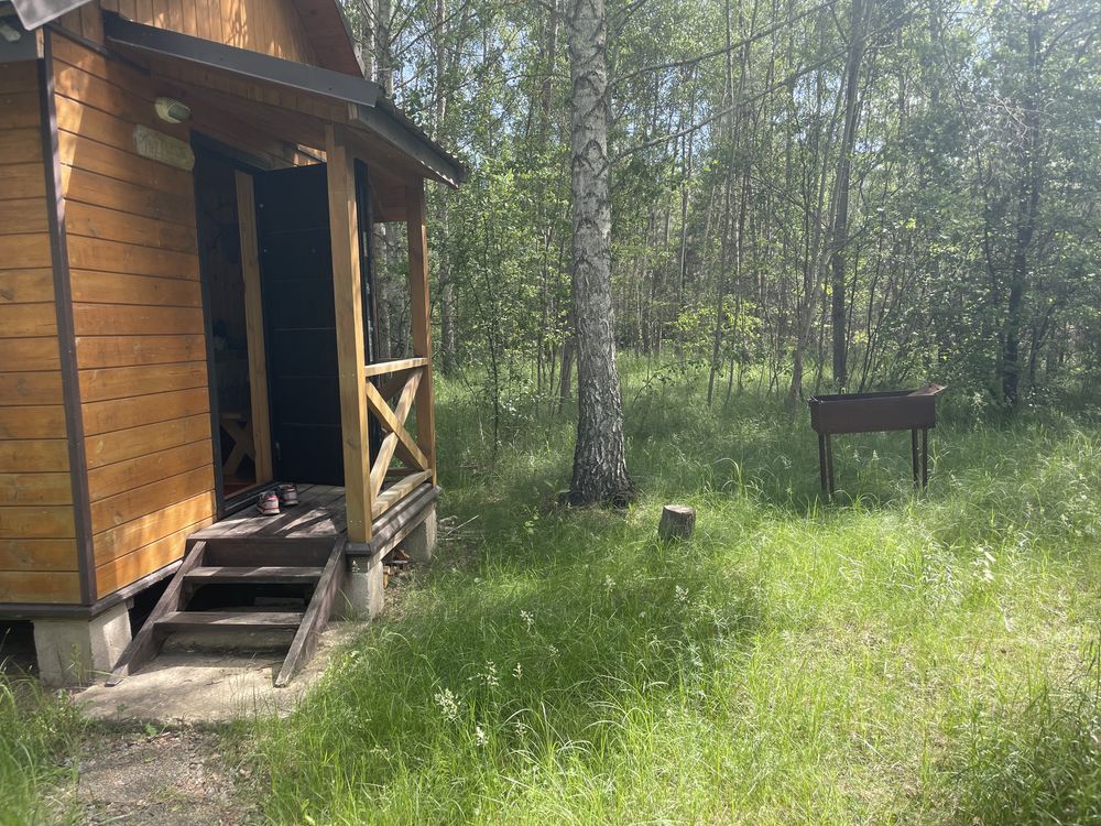 Продається ділянка в лісі з  будинком.