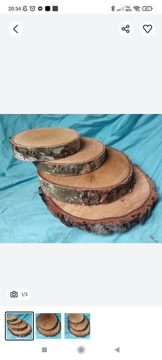 Sprzedam plastry brzozy dekoracyjne