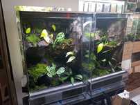 Terrarium tropikalne aktywne biologiczne z wodospadem