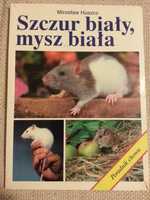 Szczur biały, mysz biała, poradnik chowu, Mirosław Huszcz