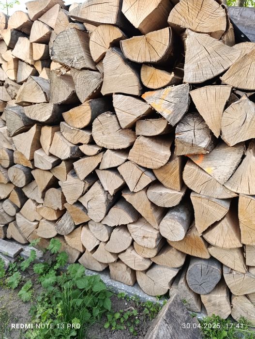 Drewno kominkowe dąb buk