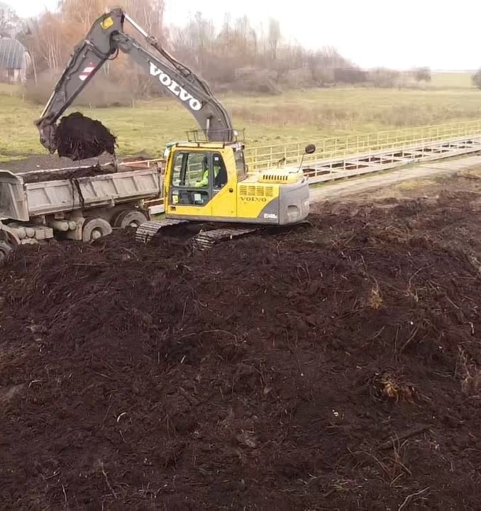 Wycinka samosiejek roboty ziemne rekultywacja sprzątanie koparka stawy