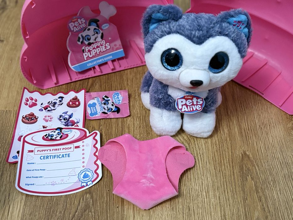 Piesek husky do zabawy. Pets Alive