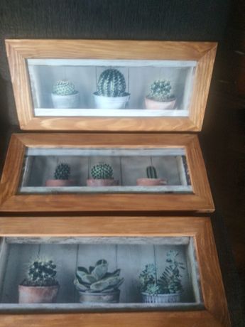 Obrazy z kaktusami w drewnianych ramach
