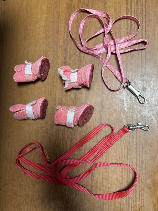 Взуття для чіхуахуа + 2 повадки в подарунок